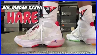 Air Jordan 37 Hare | Review & On Feet