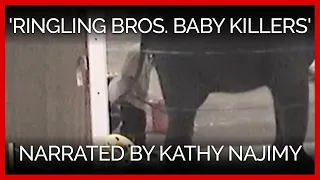 'Ringling Bros. Baby Killers' Narrated by Kathy Najimy