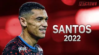 Santos 2022 ● Flamengo ► Melhores Defesas | HD