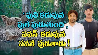 Greatness of Akira Nandan || Pawan Kalyan Son Akira Nandan Donated Blood || Oktelugu Entertainment