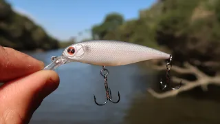 Fishing With Expensive Lures! (Caught My PB?)