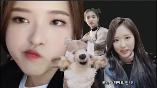 hyeju imitating whatever the unnies ask her to