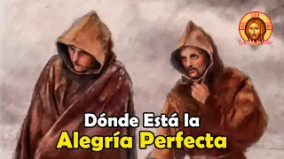 Dónde se Encuentra la Alegría Perfecta I San Francisco de Asís