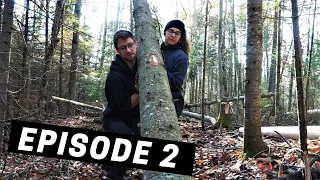 Building A Log Cabin | Ep. 2 | Struggling to Bring Down Some Heavy Trees by Hand