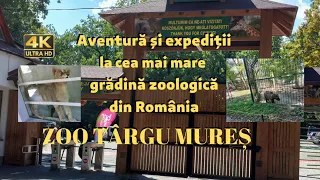 Adventures at the Zoo in Targu Mures