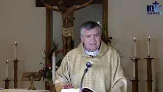 Homilía de hoy | La natividad de San Juan Bautista | 23-6-2022 | Pbro. Santiago Martín FM