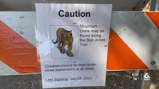 Recent mountain lion sighting prompts new signage along Bob Jones Trail