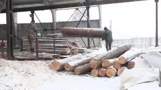 Timber.UA Производство пиломатериалов