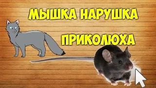 Прикол Мышка норушка для Кошки Посылка из Китая ALIEXPRESS