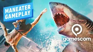 9 Minutes of Maneater: Pre-Alpha Shark Evisceration Gameplay - Gamescom 2019