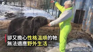 真正的「熊孩子」！俄羅斯暖機師化身熊爸，痛心前往搏鬥場營救流浪熊，心疼：「我發誓絕不放棄牠。」【影音】