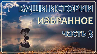 Ваши Истории - Избранное (часть 3)