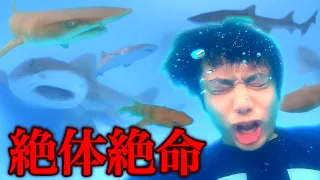 【危険】サメだらけのプールの中に突き落としてみたらパニックになった！？Many sharks are swimming prank in the pool