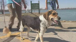 St. Louisans enjoy the unseasonably warm February day