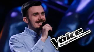 Harald Norheim - Somebody To Love | The Voice Norge 2017 | Blind Auditions