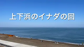 【上下浜】新潟遠征でイナダ釣ってきた