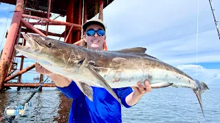 Oil Rig Fishing! Gulf of Mexico - Cobia - Catch Clean and Cook