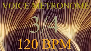Voice Metronome  -  3 Count  -  120 bpm