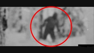 Russian Yeti - The Dyatlov Pass Incident