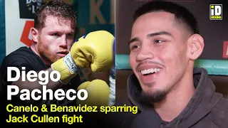 Diego Pacheco on Canelo/Benavidez Sparring & Jack Cullen Fight