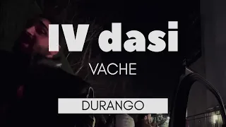 IV დასი (VACHE) - DURANGO