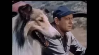 Lassie - Episode #388 - "Lassie and the Dynamite" - Season 12, Ep. 3 - 09/26/1965