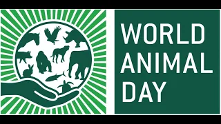 All The Days - October 4 - World Animal Day