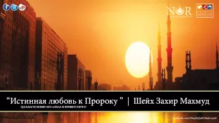 Истинная любовь к Пророку ﷺ┇Шейх Захир Махмуд┇ vk.com/nur_islam09