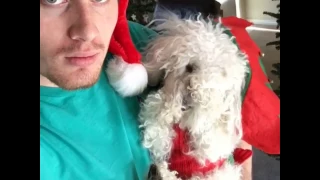 MY DOG IS EXCITED ABOUT CHRISTMAS!