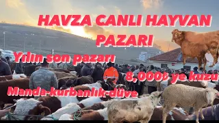HAVZA CANLI HAYVAN PAZARI 4 #trendingvideo #village #turkey #çiftlik  #cow #hayvanpazari #design