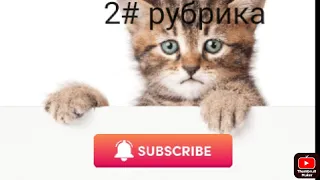 2# часть рубрики 《тупые смерти но крутые килы》 (сегодня без смертей)