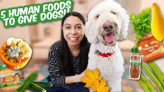 5 Grocery Store Finds to Buy for DOGS 🐶 DIY Treats for Fall!!!! 🍁
