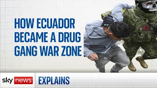 How Ecuador became a drug gang war zone