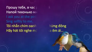 VITAS - Robin/ Витас - Малиновкa/KHÚC HÁT CHIM OANH [ Video lyrics]