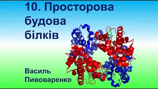 10.  Вступ. Просторова будова пептидів і білків і методи її встановлення