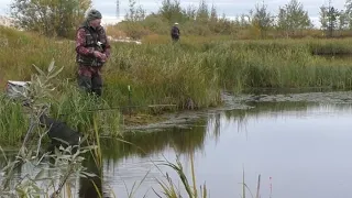 В ЭТИХ БОЛОТАХ РЫБА КЛЮЕТ НА КАЖДОМ ЗАБРОСЕ!!! ЗАЕХАЛИ В ДИКИЕ МЕСТА ГДЕ ПОЛНО РЫБЫ!! РЫБАЛКА 2023г