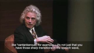 Brainwave with Steven Pinker: How Does Language Shape the Way You Think?