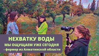 Выпуск #8 | Выгодно ли создавать кооперативы фермеров в Казахстане? История женщины-овощевода