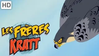 Les Frères Kratt 🦅 Créatures Volantes et Ailées 🐦 | Vidéos pour Enfants