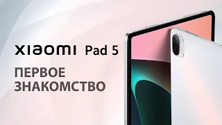 Xiaomi Pad 5 - Первое знакомство | Обзор от Алины Cripsy