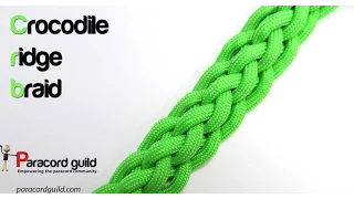 6 strand crocodile ridge braid