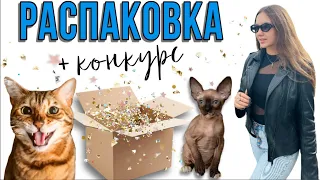 Большая распаковка зоотоваров для котиков 😺 Конкурс!