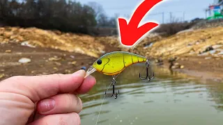 DON'T Go Fishing WITHOUT This Lure in WINTER