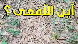 إذا وجدتها خلال 10 ثواني هذا يعني أنك عبقري !!