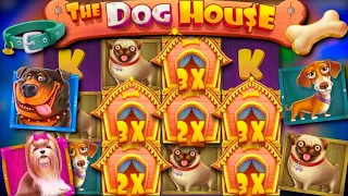 ПЫТАЕМСЯ НАЩУПАТЬ ИГРОВКУЮ СТАВКУ В DOG HOUSE!!! ЗАНОСЫ НЕДЕЛИ???