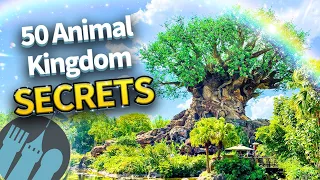 50 Secrets and Tips For Disney World’s Animal Kingdom