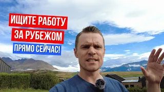 Поиск работы за рубежом! Бесплатный курс!