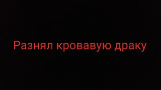 Как разнять драку. Драка котов. Прикол