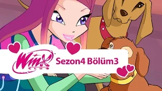 Winx Club - 4. Sezon 3. Bölüm  - Dünya'daki Son Peri - [TAM BÖLÜM]