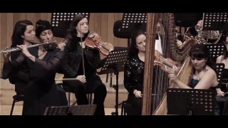 Flute and Harp Concerto C Major W. A. Mozart - 1st mov